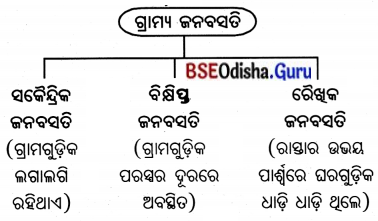 BSE Odisha 7th Class Geography Solutions Chapter 6 ମାନବୀୟ ପରିବେଶ - ଜନବସତି, ପରିବହନ ଓ ଯୋଗାଯୋଗ 3