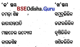 BSE Odisha 8th Class Geography Important Questions Chapter 4 ଶିଳ୍ପ 13