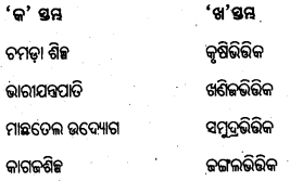 BSE Odisha 8th Class Geography Important Questions Chapter 4 ଶିଳ୍ପ 14