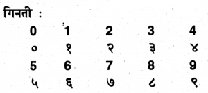 BSE Odisha 8th Class Hindi Solutions Chapter 1 सीखा था जो नहीं भूले 5