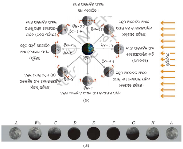 Class 8 Science Chapter 11 Notes Odia Medium ଆକାଶ ଚନ୍ଦ୍ର-ସୂର୍ଯ୍ୟଙ୍କ ଗତି ଓ ସମୟ ଗଣନା 7