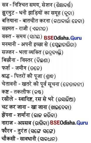 BSE Odisha 7th Class Hindi Solutions Chapter 10 चूहों की चौकड़ी 6