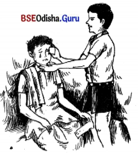 BSE Odisha 7th Class Hindi Solutions Chapter 11 बना दो मधुर मेरा जीवन (कविता) 1