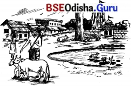 BSE Odisha 7th Class Hindi Solutions Chapter 13 वाद-विवाद 3