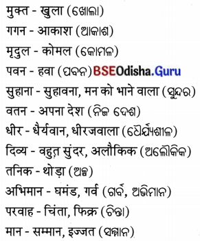 BSE Odisha 7th Class Hindi Solutions Chapter 2 यह मेरा वतन (कविता) 3