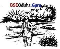 BSE Odisha 7th Class Hindi Solutions Chapter 3 अपना-अपना काम करो 2