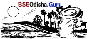BSE Odisha 7th Class Hindi Solutions Chapter 3 अपना-अपना काम करो 3
