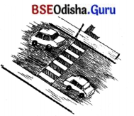 BSE Odisha 7th Class Hindi Solutions Chapter 4 बस यात्रा का अनुभव 4