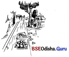BSE Odisha 7th Class Hindi Solutions Chapter 4 बस यात्रा का अनुभव 5