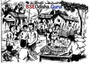 BSE Odisha 7th Class Hindi Solutions Chapter 5 आज इतवार है 1
