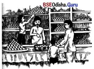 BSE Odisha 7th Class Hindi Solutions Chapter 5 आज इतवार है 3