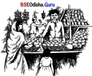 BSE Odisha 7th Class Hindi Solutions Chapter 5 आज इतवार है 4