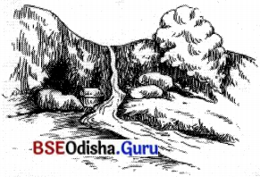 BSE Odisha 7th Class Hindi Solutions Chapter 6 सीखो (कविता) 6