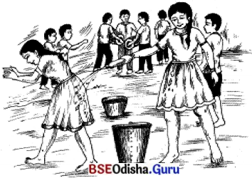 BSE Odisha 7th Class Hindi Solutions Chapter 8 होली आई, होली आई (कविता) 3