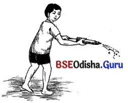 BSE Odisha 7th Class Hindi Solutions Chapter 8 होली आई, होली आई (कविता) 4