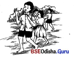 BSE Odisha 7th Class Hindi Solutions Chapter 8 होली आई, होली आई (कविता) 5