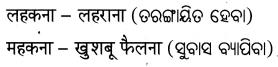 BSE Odisha 7th Class Hindi Solutions Chapter 8 होली आई, होली आई (कविता) 6