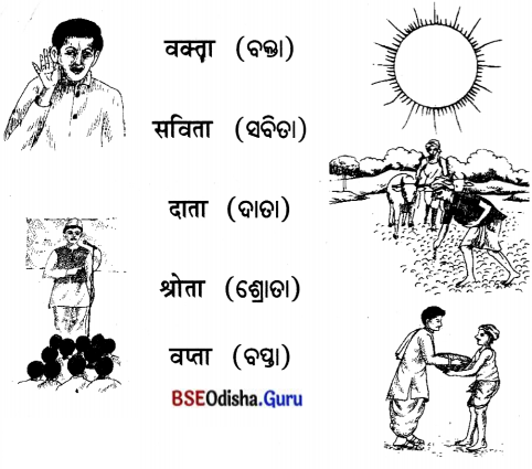 BSE Odisha 7th Class Sanskrit Solutions Chapter 1 ‘ର’ କାରାନ୍ତପୁଲିଙ୍ଗଃ 16