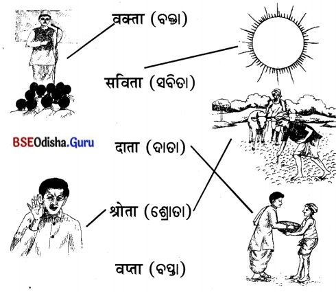 BSE Odisha 7th Class Sanskrit Solutions Chapter 1 ‘ର’ କାରାନ୍ତପୁଲିଙ୍ଗଃ 17