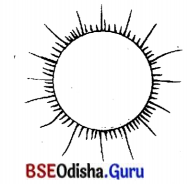 BSE Odisha 7th Class Sanskrit Solutions Chapter 1 ‘ର’ କାରାନ୍ତପୁଲିଙ୍ଗଃ 6
