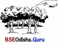 BSE Odisha 7th Class Sanskrit Solutions Chapter 17 ଆତ୍ମ-ନ-ବା ପ୍ରୟୋଗଃ 10.