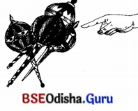 BSE Odisha 7th Class Sanskrit Solutions Chapter 17 ଆତ୍ମ-ନ-ବା ପ୍ରୟୋଗଃ 12