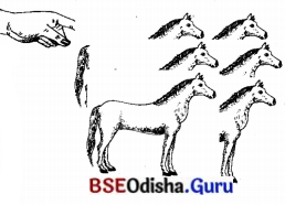 BSE Odisha 7th Class Sanskrit Solutions Chapter 17 ଆତ୍ମ-ନ-ବା ପ୍ରୟୋଗଃ 9