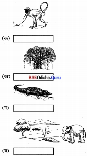 BSE Odisha 7th Class Sanskrit Solutions Chapter 19 ବିଦ୍ୟାଳୟଃ 4