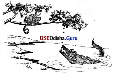 BSE Odisha 7th Class Sanskrit Solutions Chapter 19 ବିଦ୍ୟାଳୟଃ 5