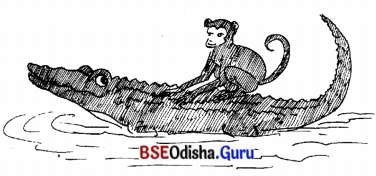 BSE Odisha 7th Class Sanskrit Solutions Chapter 19 ବିଦ୍ୟାଳୟଃ 6