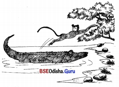 BSE Odisha 7th Class Sanskrit Solutions Chapter 19 ବିଦ୍ୟାଳୟଃ 7