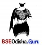 BSE Odisha 7th Class Sanskrit Solutions Chapter 2 ‘ଇ’ କାରାନ୍ତସ୍ତୀଲିଙ୍ଗଃ 10