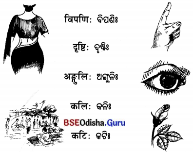 BSE Odisha 7th Class Sanskrit Solutions Chapter 2 ‘ଇ’ କାରାନ୍ତସ୍ତୀଲିଙ୍ଗଃ 14