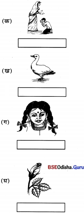 BSE Odisha 7th Class Sanskrit Solutions Chapter 2 ‘ଇ’ କାରାନ୍ତସ୍ତୀଲିଙ୍ଗଃ 16