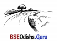 BSE Odisha 7th Class Sanskrit Solutions Chapter 2 ‘ଇ’ କାରାନ୍ତସ୍ତୀଲିଙ୍ଗଃ 17