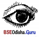 BSE Odisha 7th Class Sanskrit Solutions Chapter 2 ‘ଇ’ କାରାନ୍ତସ୍ତୀଲିଙ୍ଗଃ 2