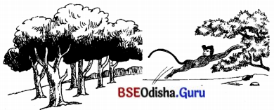BSE Odisha 7th Class Sanskrit Solutions Chapter 21 ଶିଶୁଗୀତମ ଭାରତଭକ୍ତାଃ 1