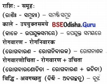 BSE Odisha 7th Class Sanskrit Solutions Chapter 21 ଶିଶୁଗୀତମ ଭାରତଭକ୍ତାଃ 13