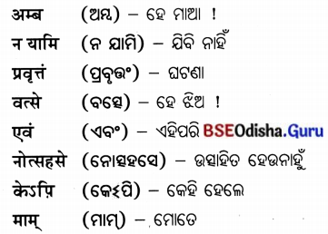 BSE Odisha 7th Class Sanskrit Solutions Chapter 21 ଶିଶୁଗୀତମ ଭାରତଭକ୍ତାଃ 16