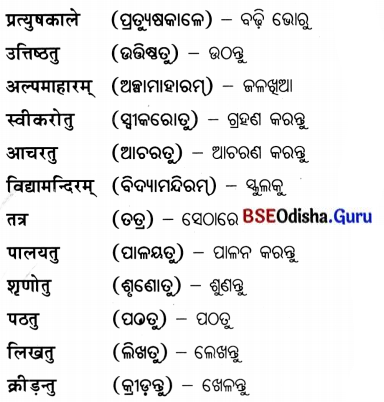 BSE Odisha 7th Class Sanskrit Solutions Chapter 21 ଶିଶୁଗୀତମ ଭାରତଭକ୍ତାଃ 20