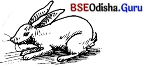 BSE Odisha 7th Class Sanskrit Solutions Chapter 21 ଶିଶୁଗୀତମ ଭାରତଭକ୍ତାଃ 6