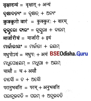 BSE Odisha 7th Class Sanskrit Solutions Chapter 21 ଶିଶୁଗୀତମ ଭାରତଭକ୍ତାଃ 7