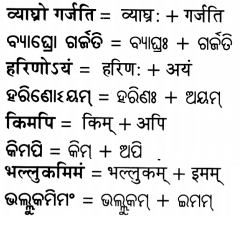 BSE Odisha 7th Class Sanskrit Solutions Chapter 21 ଶିଶୁଗୀତମ ଭାରତଭକ୍ତାଃ 9