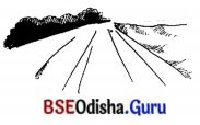 BSE Odisha 7th Class Sanskrit Solutions Chapter 3 ‘ଈ’ କାରାନ୍ତସ୍ଵୀଲିଙ୍ଗଃ 2