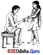 BSE Odisha 7th Class Sanskrit Solutions Chapter 3 ‘ଈ’ କାରାନ୍ତସ୍ଵୀଲିଙ୍ଗଃ 3