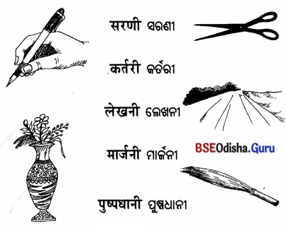 BSE Odisha 7th Class Sanskrit Solutions Chapter 3 ‘ଈ’ କାରାନ୍ତସ୍ଵୀଲିଙ୍ଗଃ 5