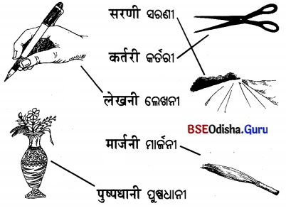 BSE Odisha 7th Class Sanskrit Solutions Chapter 3 ‘ଈ’ କାରାନ୍ତସ୍ଵୀଲିଙ୍ଗଃ 6