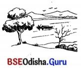 BSE Odisha 7th Class Sanskrit Solutions Chapter 3 ‘ଈ’ କାରାନ୍ତସ୍ଵୀଲିଙ୍ଗଃ 8
