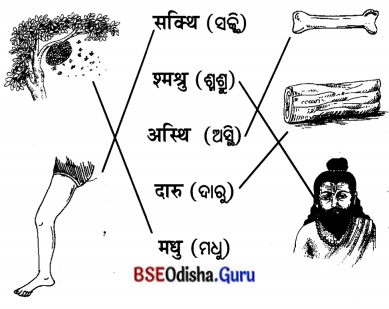 BSE Odisha 7th Class Sanskrit Solutions Chapter 4 ‘ଇ’ କାରାନ୍ତନପୁଂସକଲିଙ୍ଗଃ 10