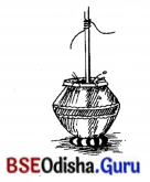 BSE Odisha 7th Class Sanskrit Solutions Chapter 4 ‘ଇ’ କାରାନ୍ତନପୁଂସକଲିଙ୍ଗଃ 3